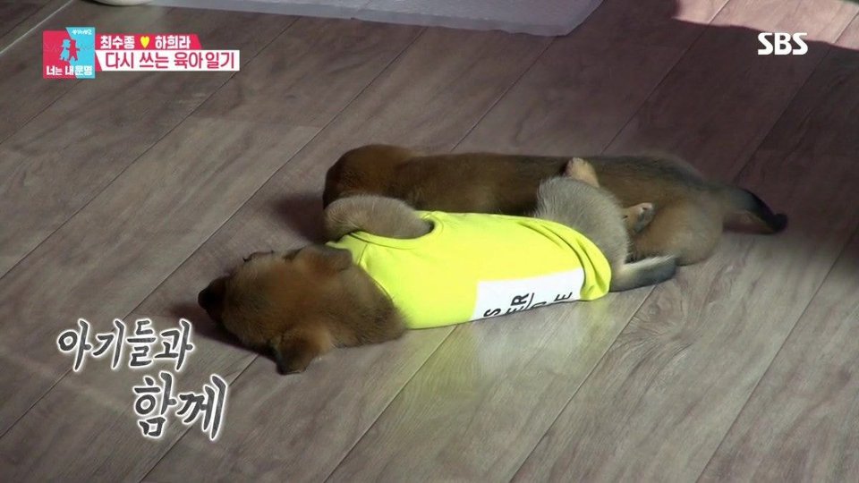 하히라가 허리 통증에 시달리는 이유 | 인스티즈