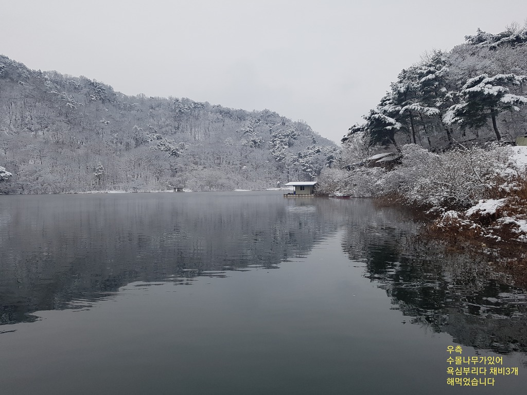 도송 이미지