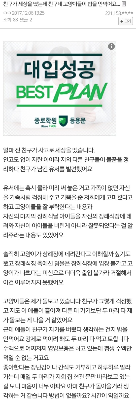 친구가 세상을 뜬 뒤 고양이들이 밥을 안먹어요 | 인스티즈