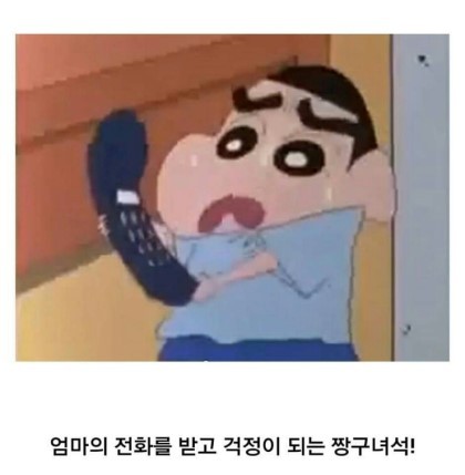 짱아 이미지