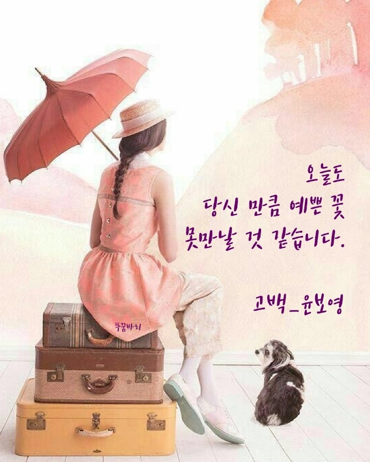 팔월 이미지