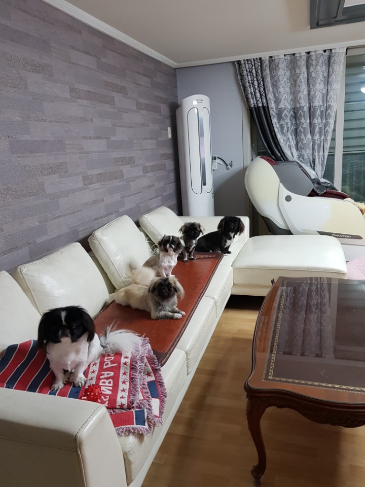 카페쓰리랑 이미지