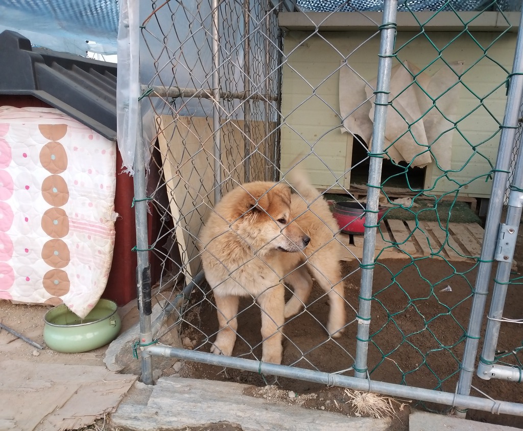 우리농원 이미지