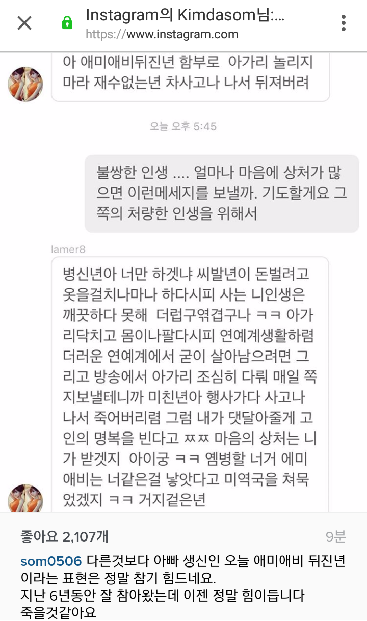 씨스타 다솜이 평소에 받는 악플 | 인스티즈