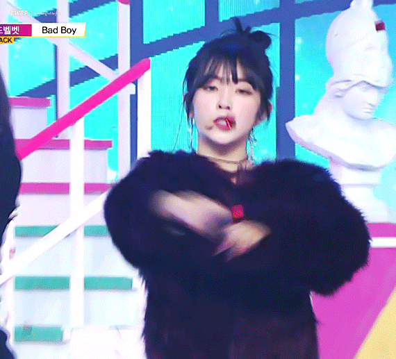 레드벨벳 꽃리더.jpgif | 인스티즈