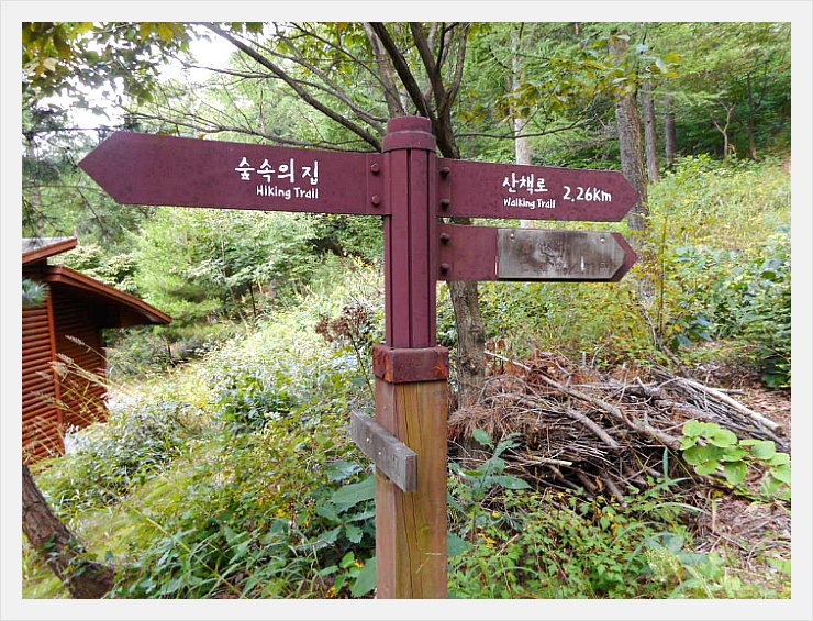 속리산말티재자연휴양림 이미지