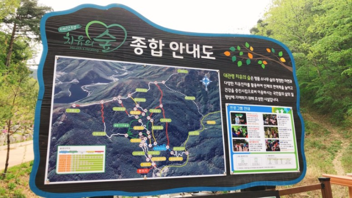 국립대관령치유의숲 이미지