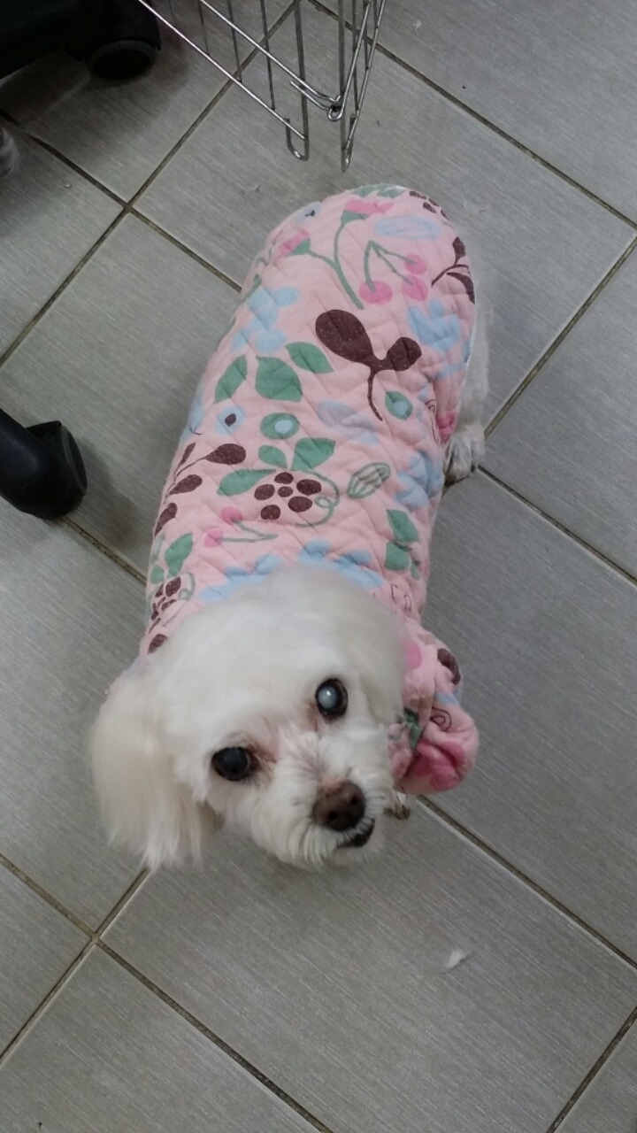 어느봄날펜션 이미지