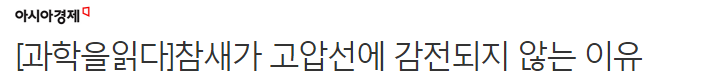 참새가 고압선에 감전되지 않는 이유 | 인스티즈