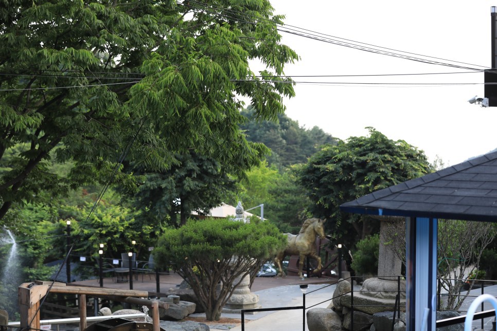 카페담 이미지