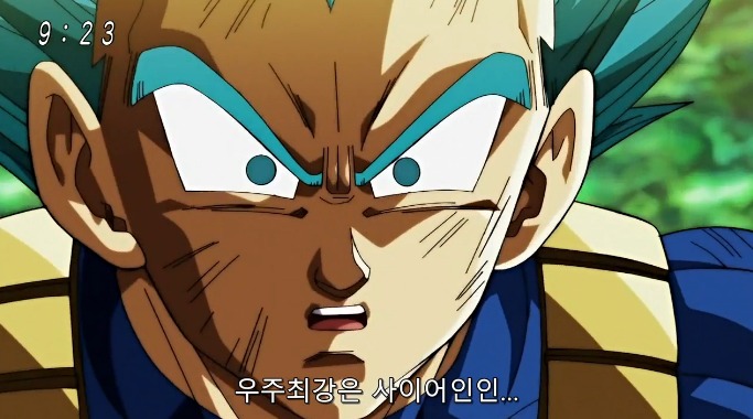 간지와 안습이 공존하는 베지터 명장면 | 인스티즈
