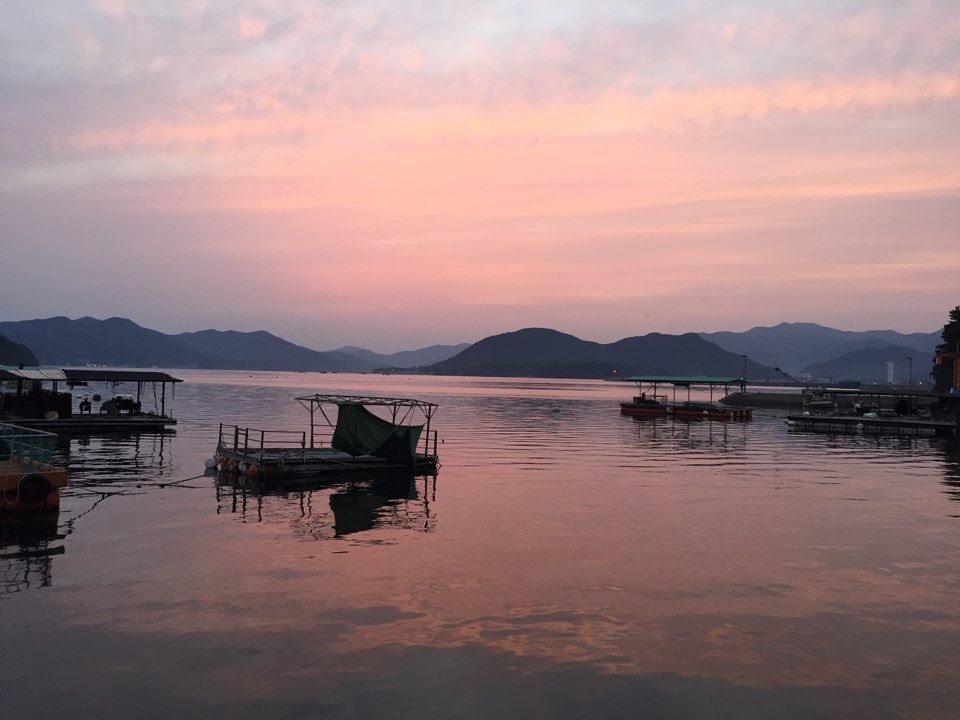 진동돌장어 이미지