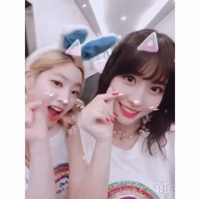 6/17 트와이스 두부한모.jpg | 인스티즈