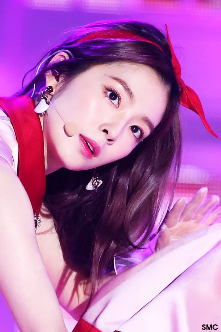 다 예쁜 레드벨벳 중 얼굴 취향은?.jpgif | 인스티즈