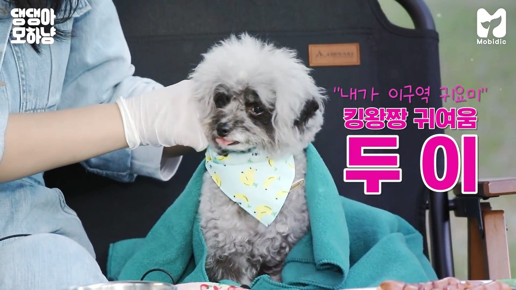 99D0EB3C5EF2189E06283E