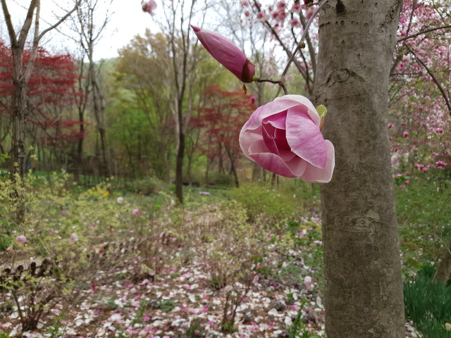 99D2694B5CBD0D7312F08C