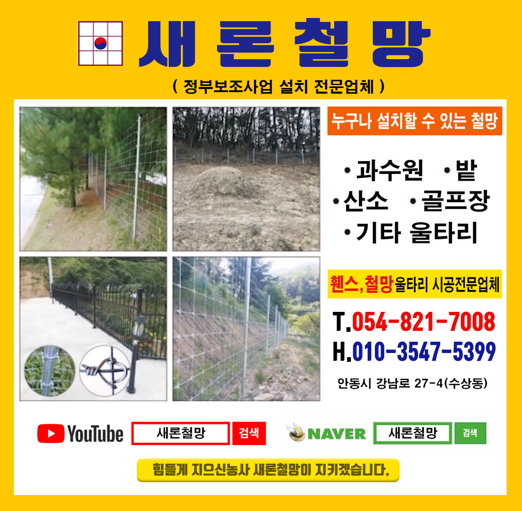 새론디자인 이미지