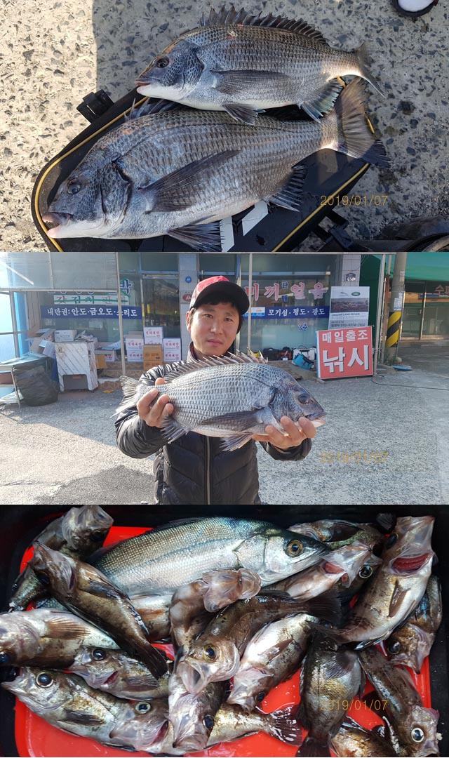 순천대물낚시 이미지
