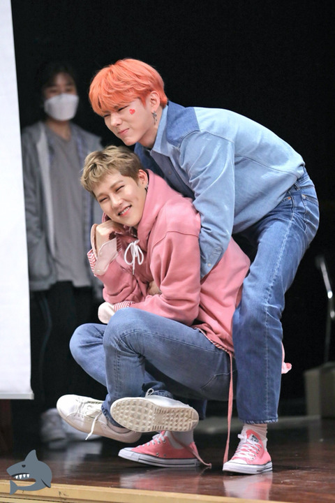 허니밥 이미지