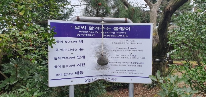 날씨 알려주는 돌멩이 근황.jpg | 인스티즈