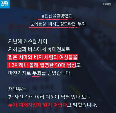 얘들아 개파라치 시행/공격성과 무관한 입마개 착용 의무화에 반대하는 가장 효과적인 방법!!! | 인스티즈
