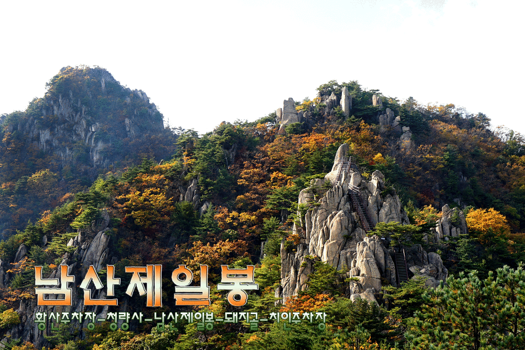 남산 이미지