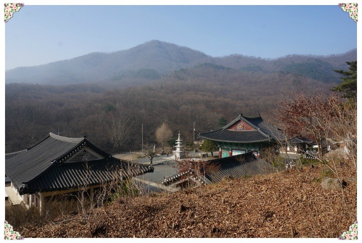 푸른주공마트 이미지