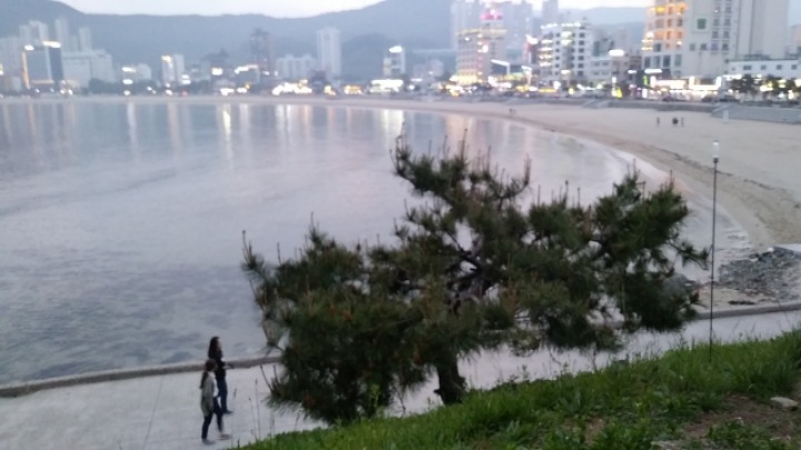 녹차향기 이미지