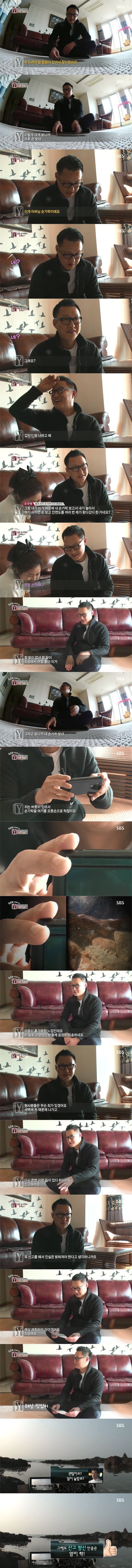 잘린손의 진실 | 인스티즈