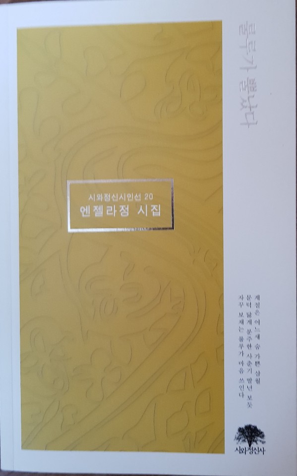 엔젤라 이미지