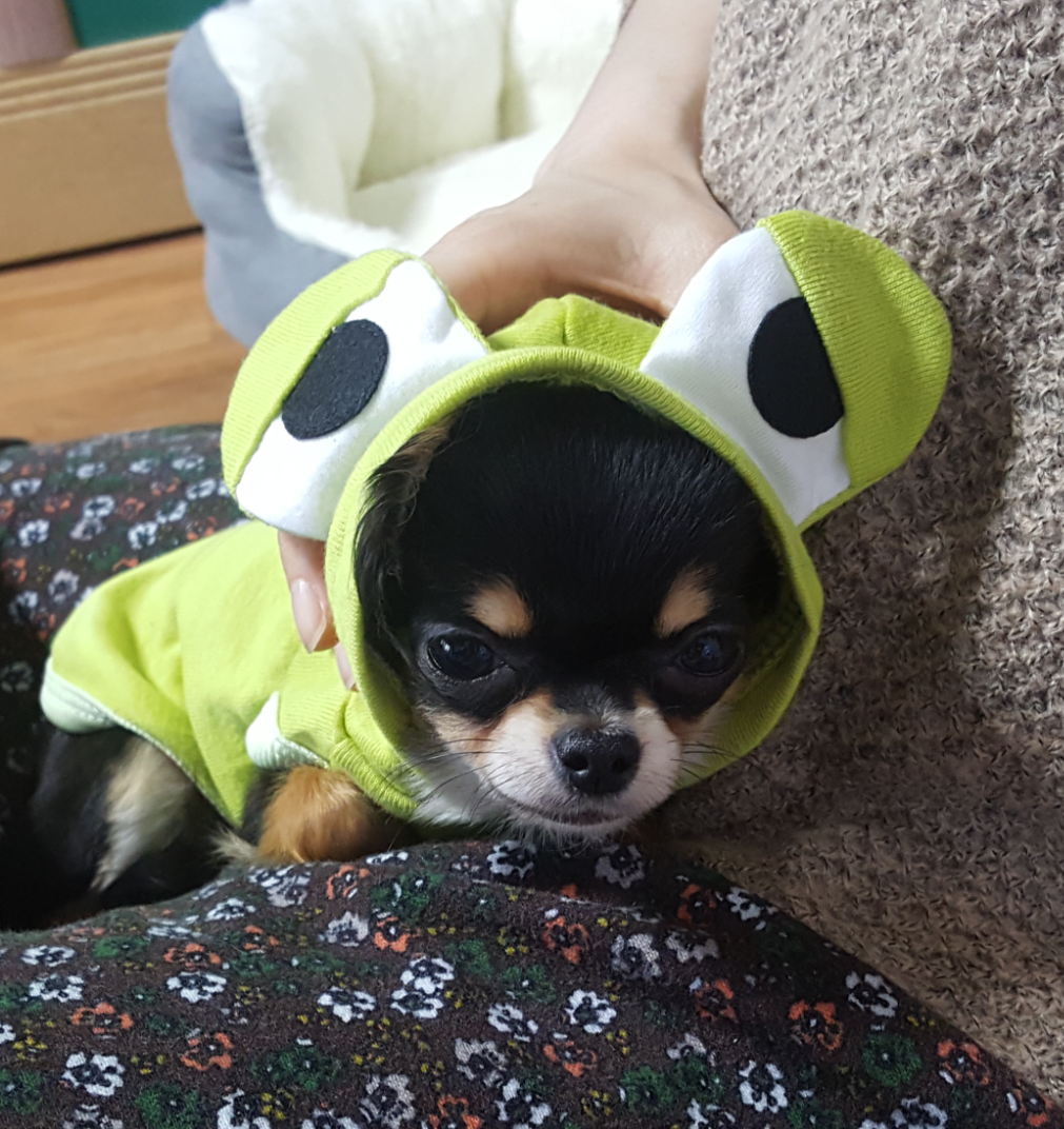 대건 이미지