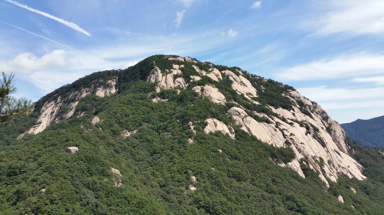 강대장 이미지