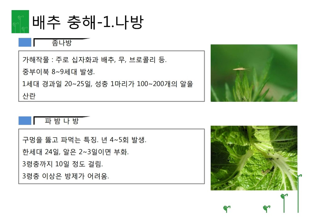 터미널 농약사 이미지