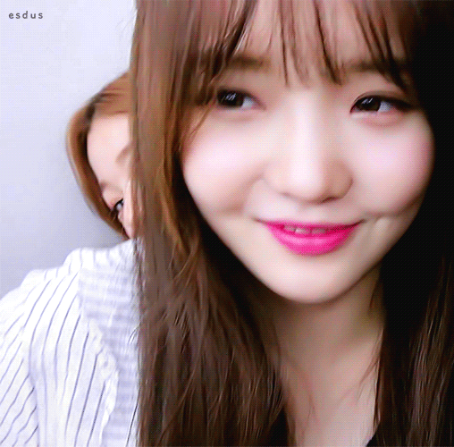 연예인 주인보다 더 유명한 고양이.jpg | 인스티즈