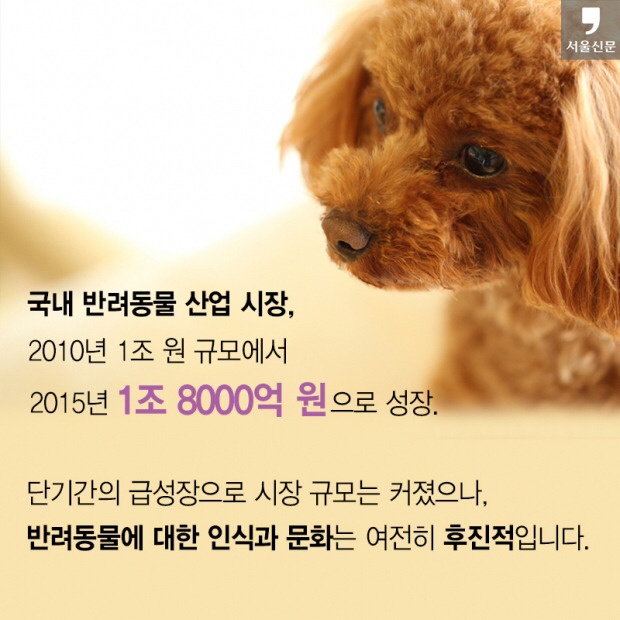 처음 반려동물 만났을때 너무 좋고 예뻐서 전혀 생각하지 못하는 것.jpg | 인스티즈