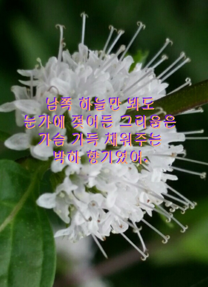 미덕 이미지